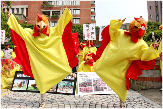 中原大學及台灣大學學生在農委會外上演行動劇。  何宜/攝