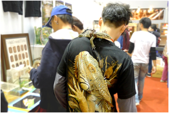 你心愛的寵物是爬爬嗎？歡迎各位爬友參加7/27全國兩爬動物特展！　何宜/攝