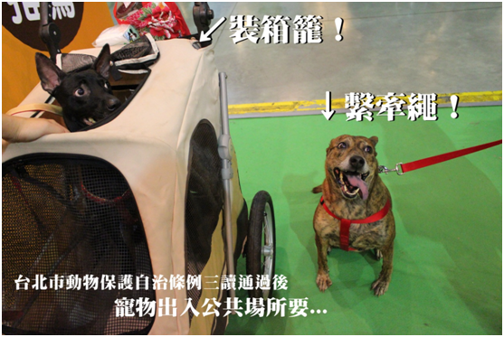 台北市動保自治條例9月3日三讀通過! 李娉婷/攝