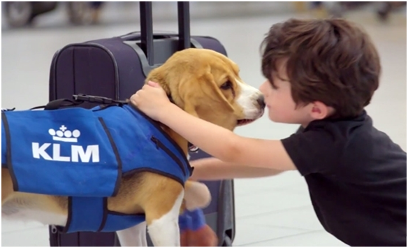 謝謝你夏洛克！謝謝你找到了我的玩偶！　翻攝自影片