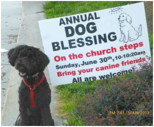 狗狗與祈福儀式歡迎牌合照。 取自全國市基督教堂