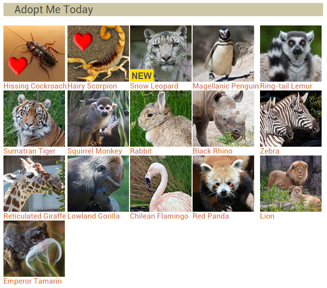 情人節限定的認養加註了愛心符號，如果你是熱戀中的情侶，也可以考慮認養其他可愛動物！　　取自舊金山動物園