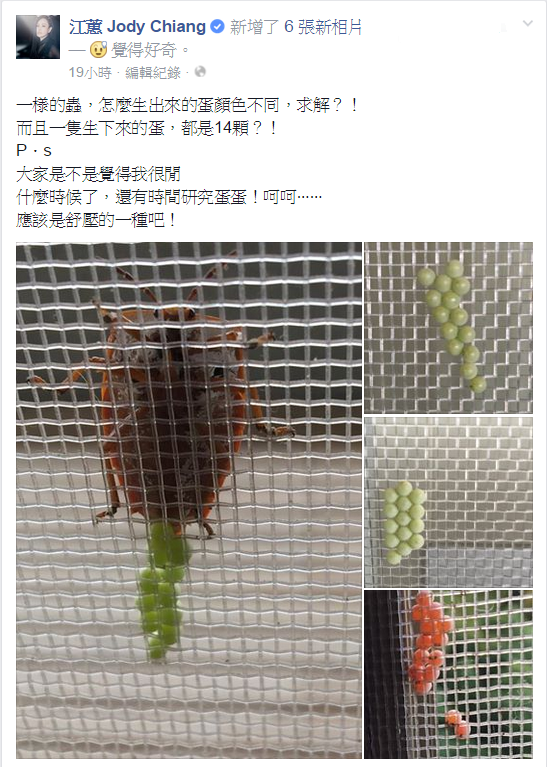 江蕙在個人臉書展示蟲蟲產卵照，嚇壞一堆網友。　翻攝自江蕙臉書