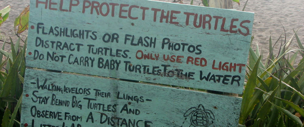 保護區內張貼有警告標誌，寫有：請不要使用閃光燈對著烏龜；請不要把小烏龜帶到海裡、走路才能促進牠們的肺發展；請與烏龜保持距離觀察。 取自anywherecostarica.com