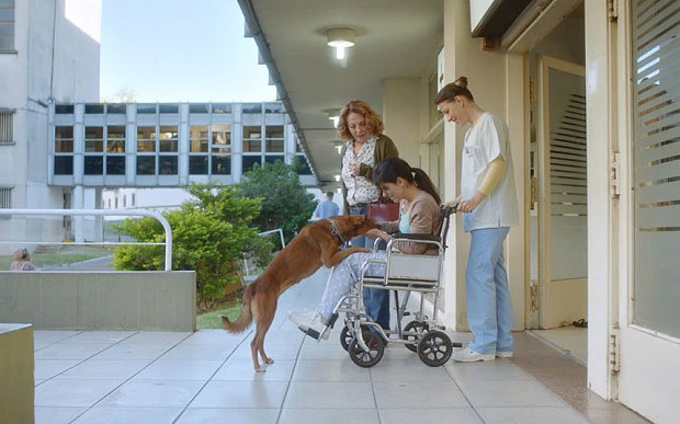 阿根廷基金會的宣傳片希望讓更多人能成為器官捐贈者。 翻攝自影片