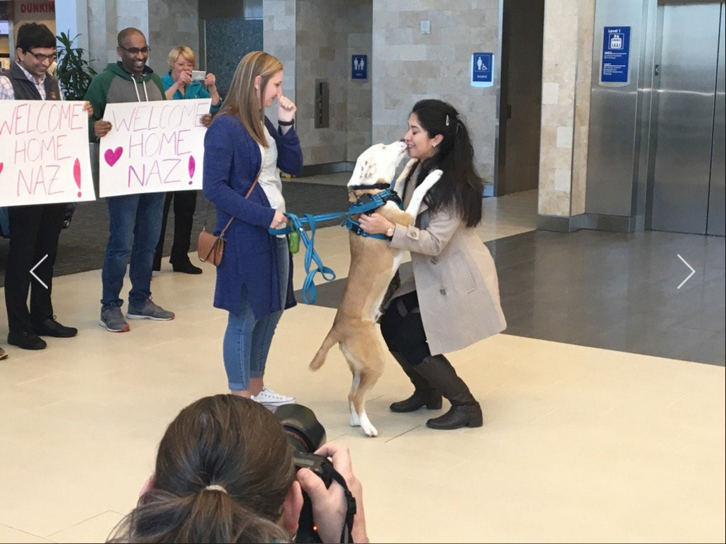 川普下達的禁令被聯邦法院暫緩後,來自伊朗的Nazanin Zinouri終於在日前與其飼養救援來的毛孩團聚。 翻攝自Justin Hinton推特