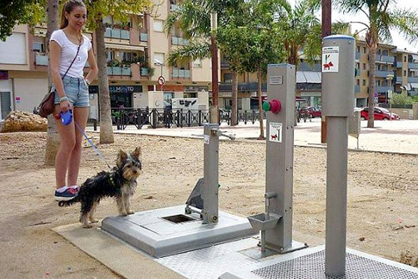 西班牙本得雷利市打造了狗狗公廁,之後預計要在街道上廣泛實施。 取自網路