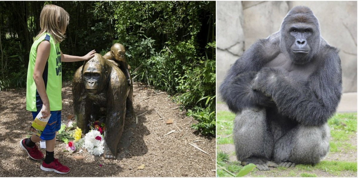 事發後許多民眾在展場內擺上鮮花弔念哈拉比(圖右)。   取自(左圖)翻攝每日郵報、(右圖)取自動物園臉書