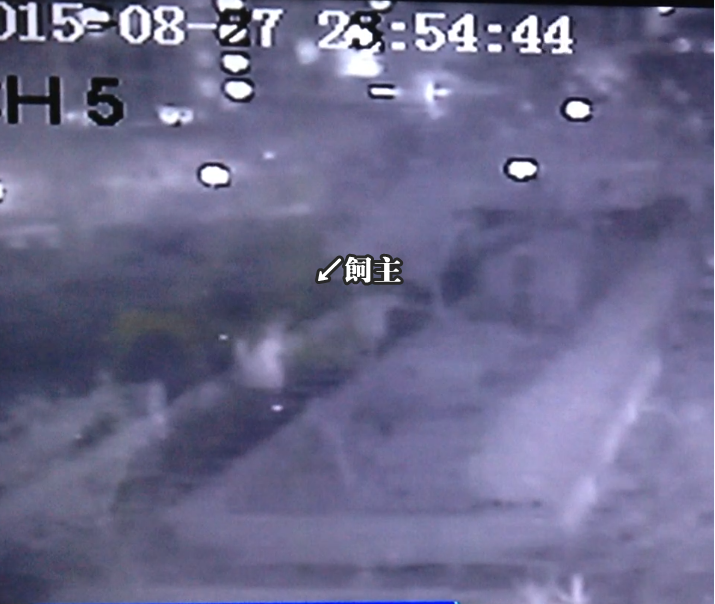 飼主在後花圃想要掩埋死亡的貓咪。　新北市動保處/提供