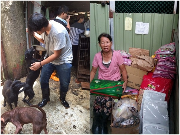 動物王國的店員到頭份的葉媽媽狗場幫忙。 動物王國/提供