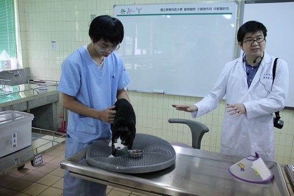 屏科大動物醫院將打造全台第一座動物復健中心，以各式輔具為寵物進行復健。　屏科大/提供
