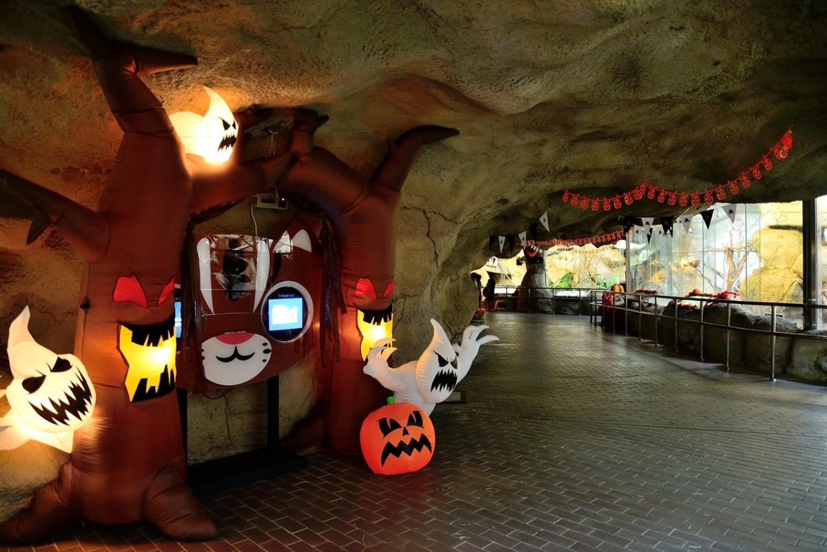 保育廊道布置成萬聖節氣氛，參觀的民眾也可以順便了解淺山生態系遭遇的困境！　台北動物園-張庭瑜/攝