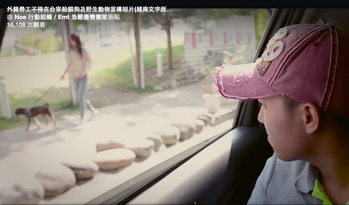 給人硬漢風格的台灣N.O.E行動組織/ Emt急難應變團隊最近釋出了一部去年拍攝的移工殺狗宣傳影片，情節感人！   翻攝自影片