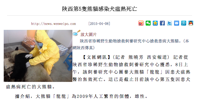 錯誤報導的來源照片其實發生在大陸陝西。 翻攝自網路