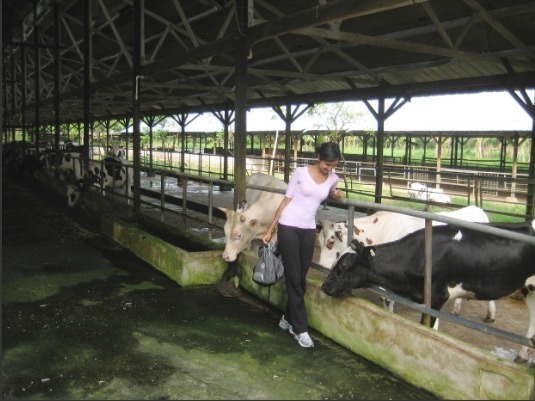 圖為索妮亞‧法樂琪在新加坡的農場內。   翻攝自vancouversun.com