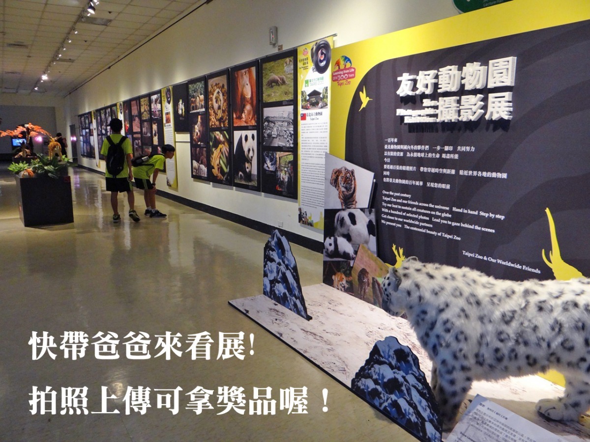 動物園舉辦「友好動物園攝影展」，廠內還有拍照贈獎活動！ 台北動物園/提供