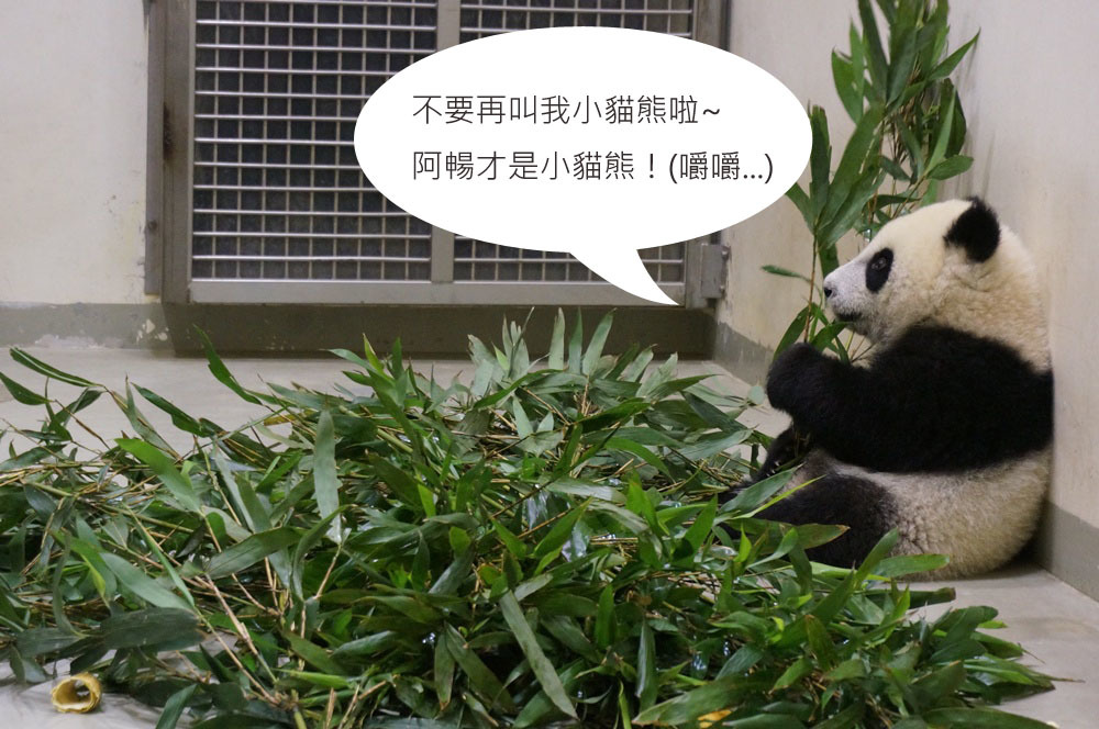 文/設計對白             圖/台北市立動物園