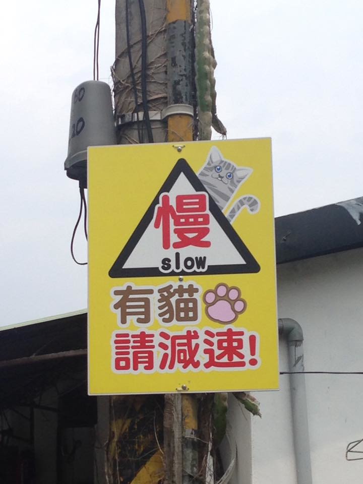 可愛的貓咪警示牌背後,卻有著心酸的故事。 張清維/授權提供