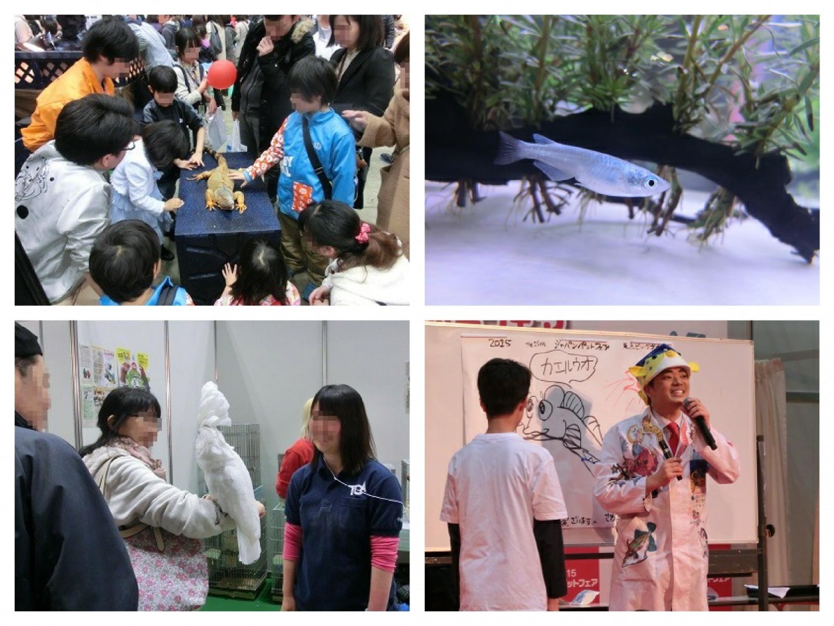 JPPMA底下約有80間會員,舉辦的寵物展昌品種類也相當廣泛,包含犬、貓、觀賞魚、鳥、小動物、昆蟲及爬蟲類等7個領域。 取自jppma