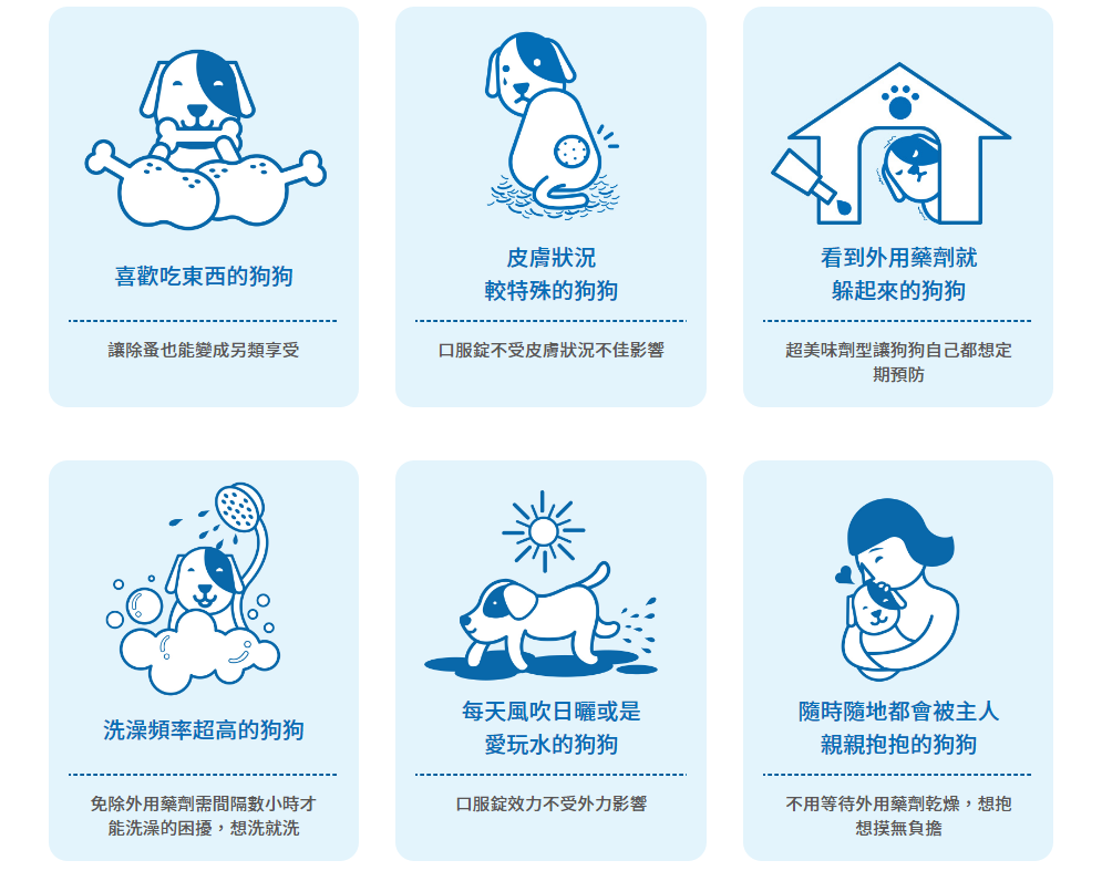 口服劑型的防蚤蝨用藥適合怎樣類型的狗狗呢？可以看看你家狗狗有沒有符合以上幾點喔！　取自全能狗網站