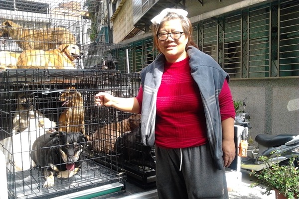 28隻狗狗將到台南生活，直到賈佩芳出獄。　照生會/提供