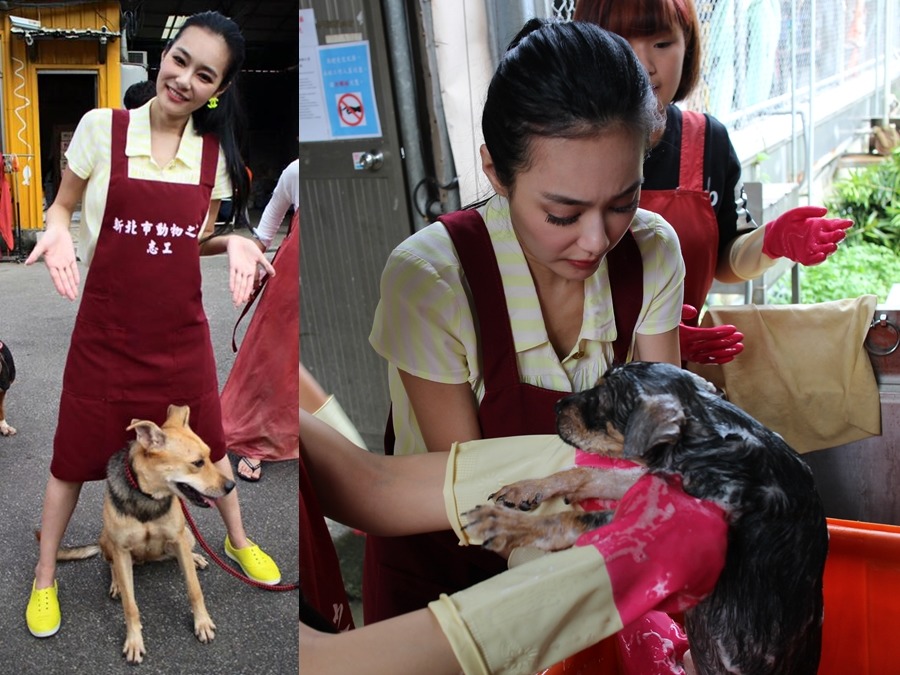 王思佳幫狗狗洗澡的手勢很熟練，連新北市動保處處長陳淵泉都讚譽有加。　王思佳、新北市動保處/提供
