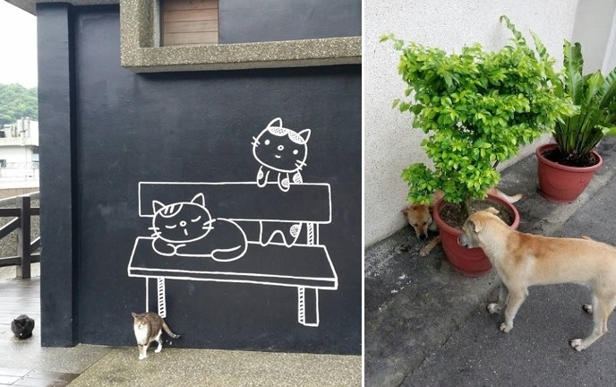 圖右為闖禍的母帶子黃狗。盆栽後的小狗才半歲多，事後嚇得躲到盆栽後不敢出來。　新北市動保處/提供