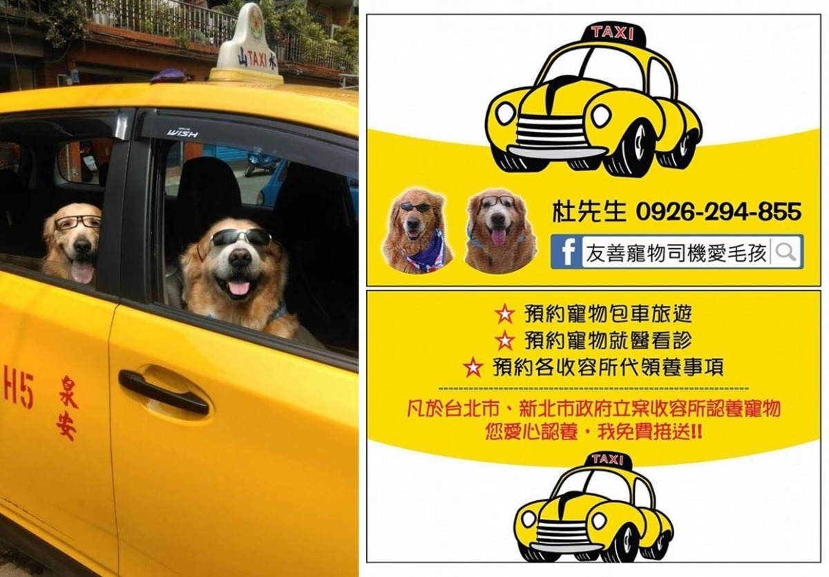 快把電話存進手機通訊錄，以備不時之需吧！圖左是杜錫琨的愛犬布丁和阿福。　取自友善寵物司機愛毛孩