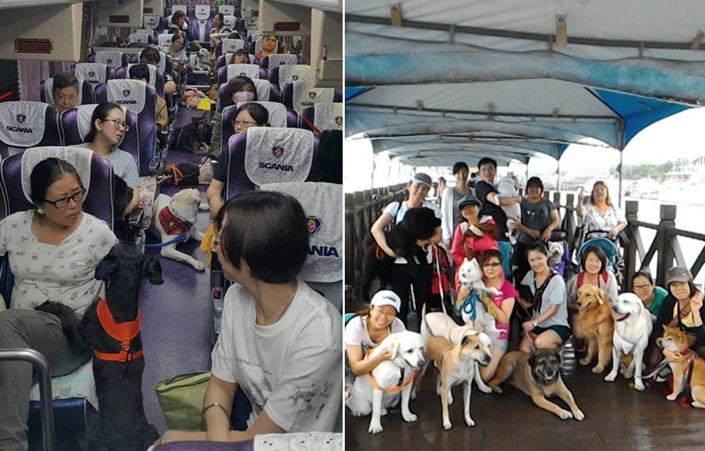 幾乎都是中大型犬，20多隻狗狗一同出遊好壯觀啊！　張薇甄/提供