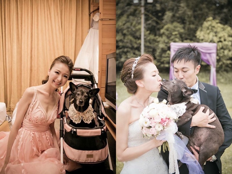 Emily和Alex特地找了可以帶狗狗的婚宴場地，讓菲菲以漂亮的蕾絲代替婚紗，陪最愛的姊姊一起出嫁！　Emily/提供