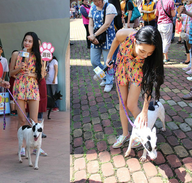王思佳向來非常關心流浪動物，今年生日特地號召粉絲一同到動物之家當義工，幫收容所的狗狗洗澡。今日，她更是頂著艷陽，親赴送養會現場，牽著狗狗「琪琪」走秀，希望能為收容所的犬貓帶來關注度。　黃靖雅/攝