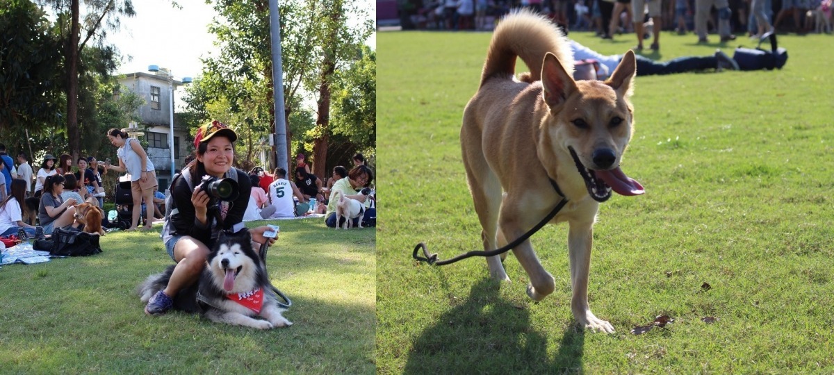 挺挺動物生活節氛圍輕鬆、歡樂，參加的民眾不少。　黃靖雅/攝