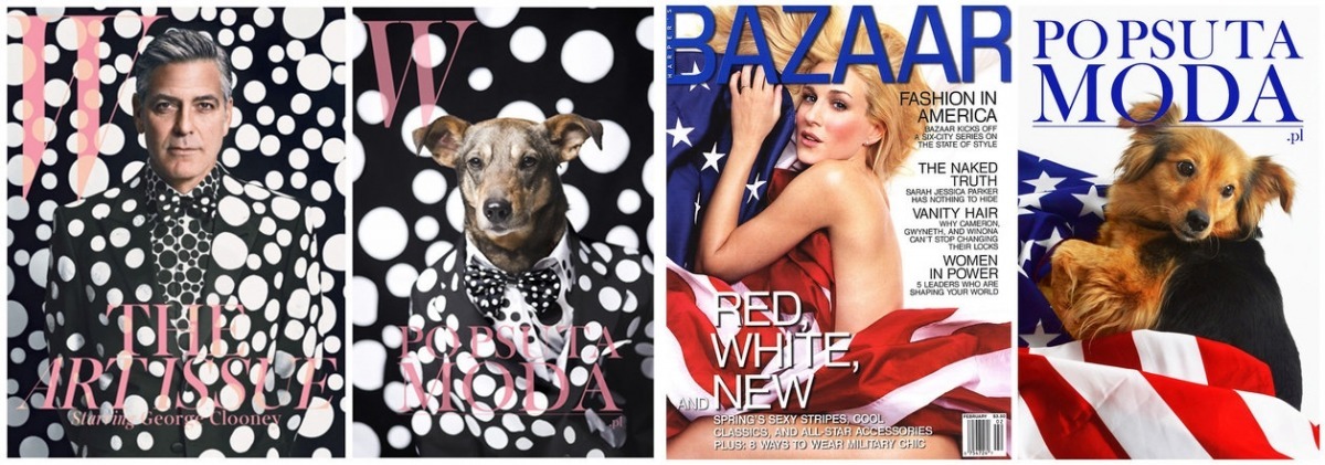 這些狗狗的架式可是半點都不輸給大明星呢！　取自POP PSU TA MODA