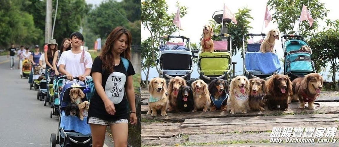 這些備受寵愛的腸寶假日過得超級精彩！　潘聖文/提供