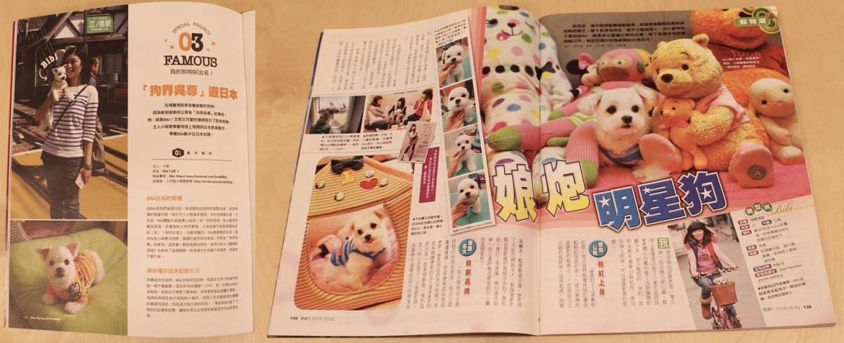 瑪爾濟斯犬BiBi是網路知名的狗明星，被暱稱為「狗界吳尊」，還上過多次報導，現在這些東西都被李小姮好好的收藏起來，留做紀念。　黃靖雅/攝