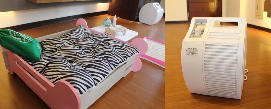 寵物專屬套房提供許多寵物用品，帶毛孩一起出遊再也不是麻煩事！　東森山林渡假酒店/提供