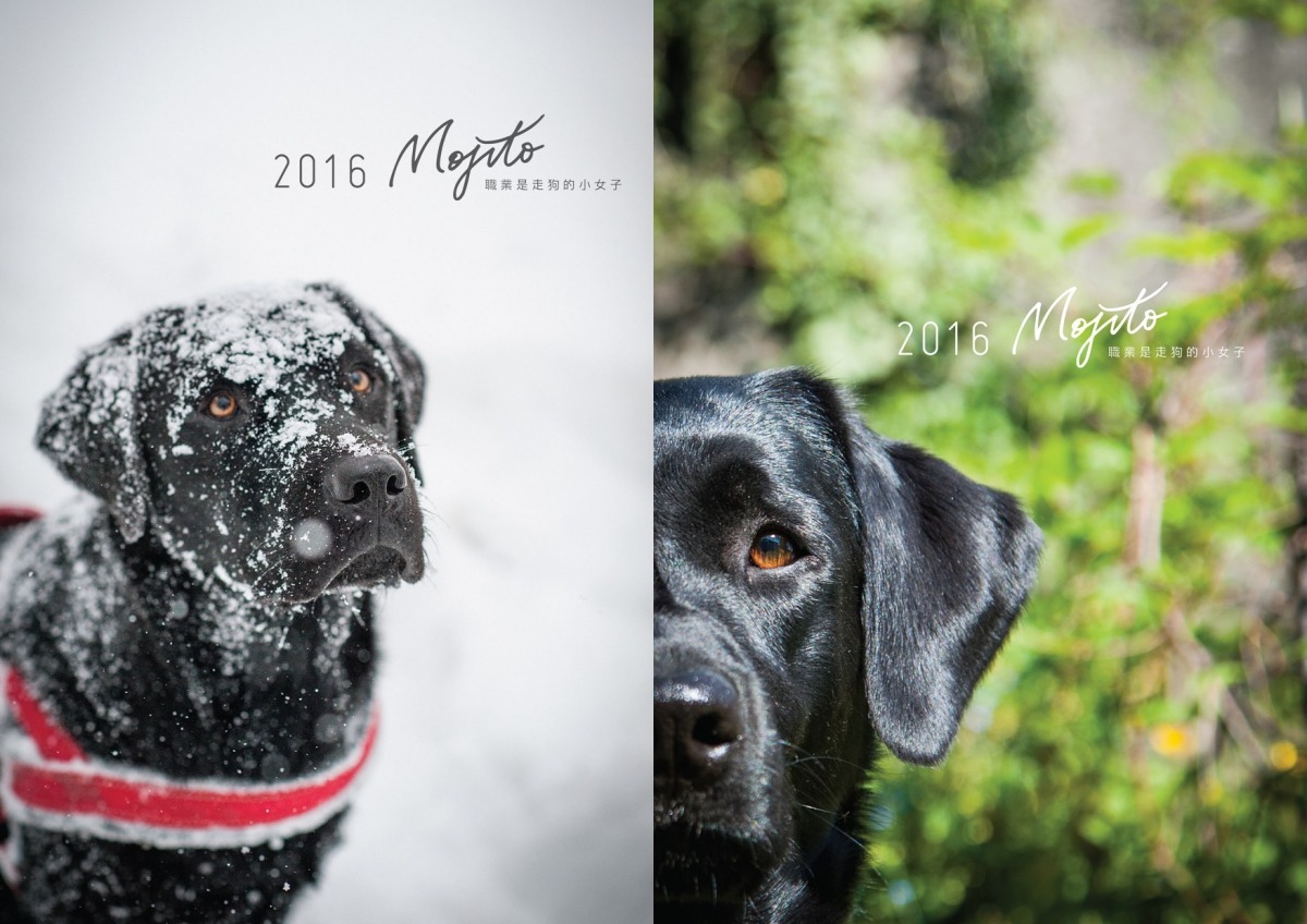 右圖為最初打算使用在掛曆上的封面照,後來封面照換成左圖。 Mojito/提供