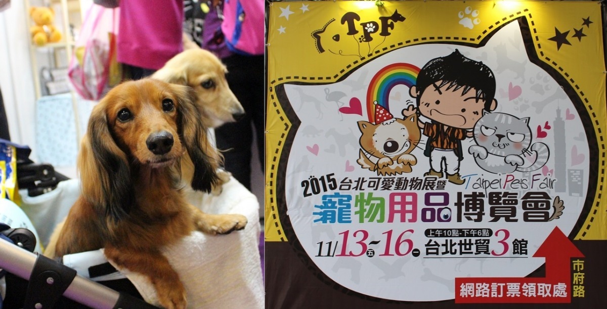 不少飼主在開幕第一天就帶著毛孩一同逛展。　黃靖雅/攝