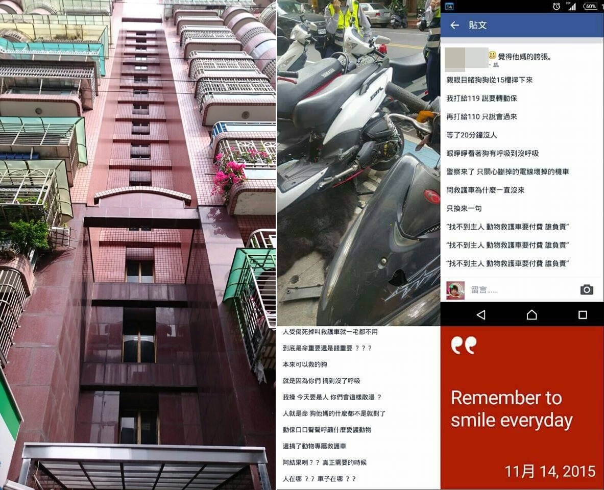 14日早晨，鬆獅犬墜樓掉到大樓外的機車上，壓到兩輛機車後，跌落地面身亡。通報者針對員警幫忙打電話給貓狗119一事隻字未提，引起不少網友痛罵「官僚」，此文隔天已被刪除。　圖左為新北市動保處/提供，圖右取自網路