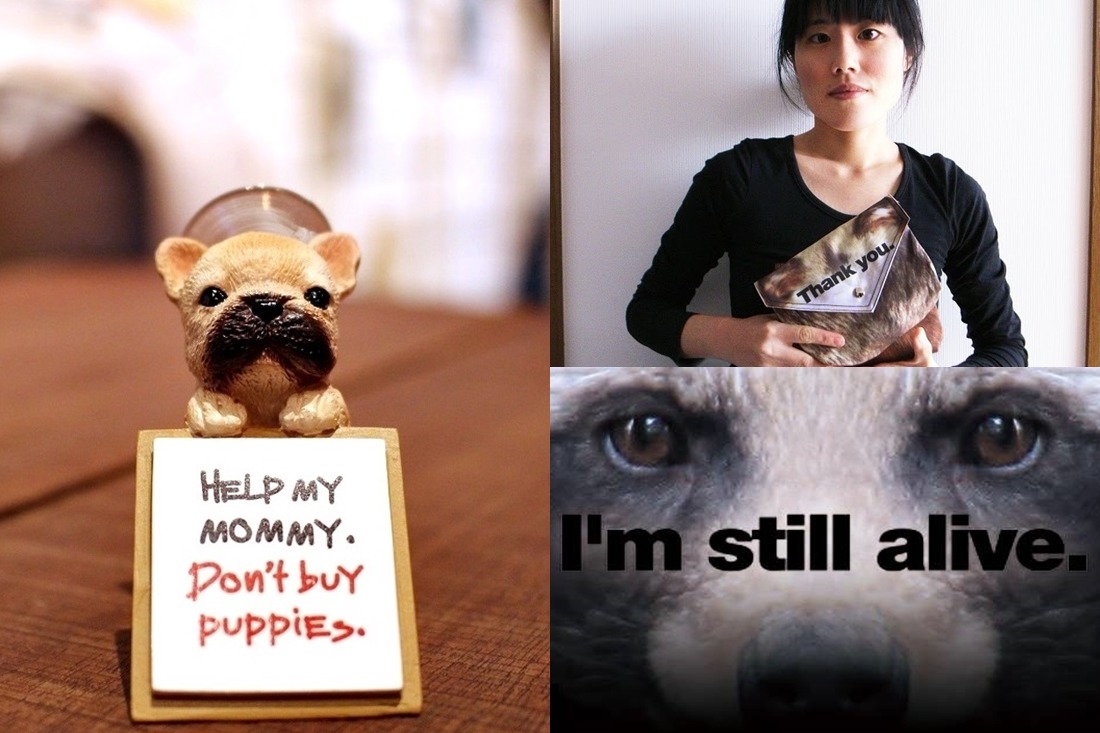 林云斐(右上)過去曾推過反皮草小包包，今年推出的「名犬來吸」手機撐(左)，吸引不少網友關注。　黃靖雅/攝，林云斐/提供