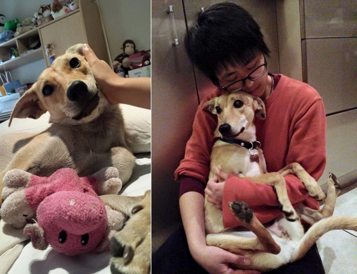 米漿的樣子看起來是不是超幸福呢？　Jane Chiang/提供