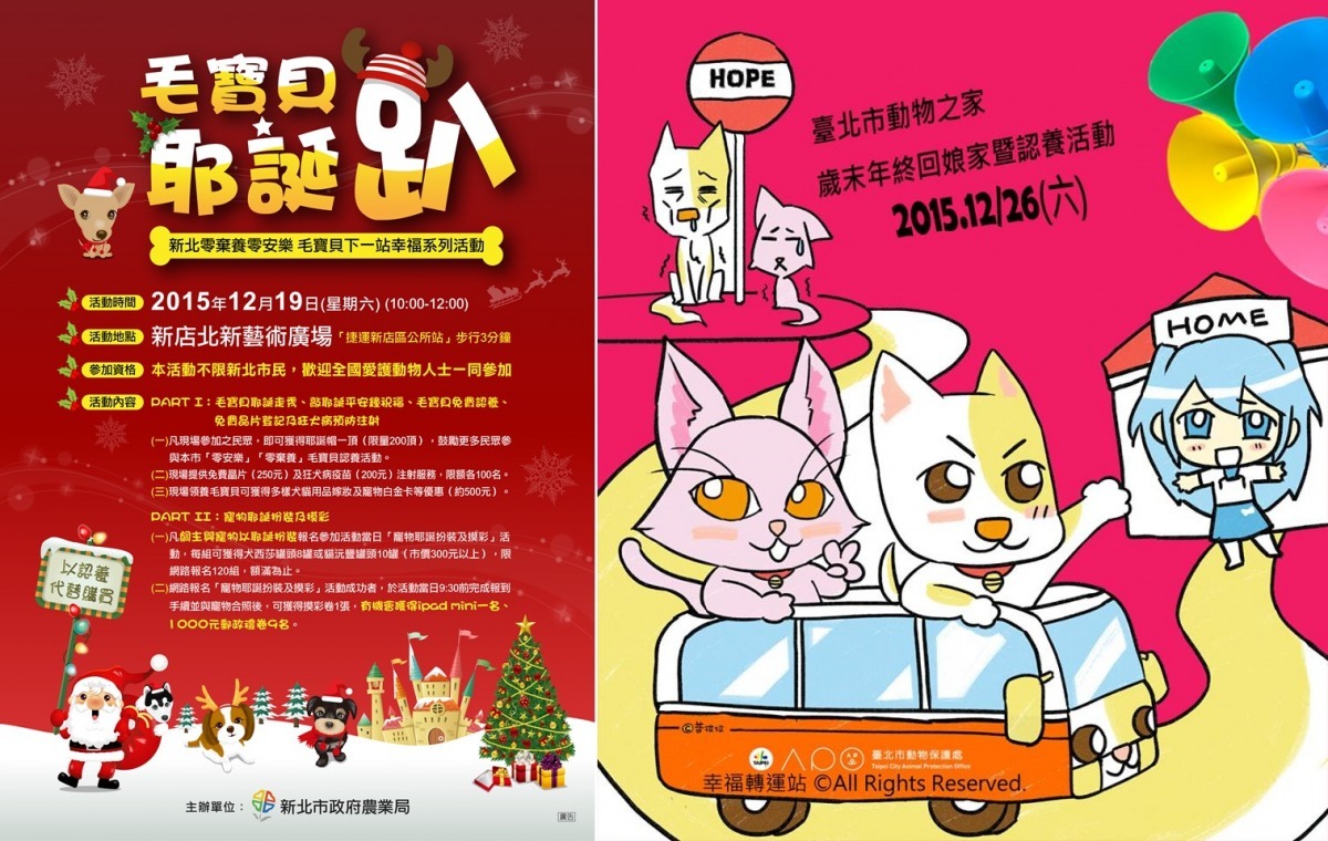 連續兩周新北和台北各有送養活動,想領養的你可別錯過囉! 台北市動保處、新北市動保處/提供