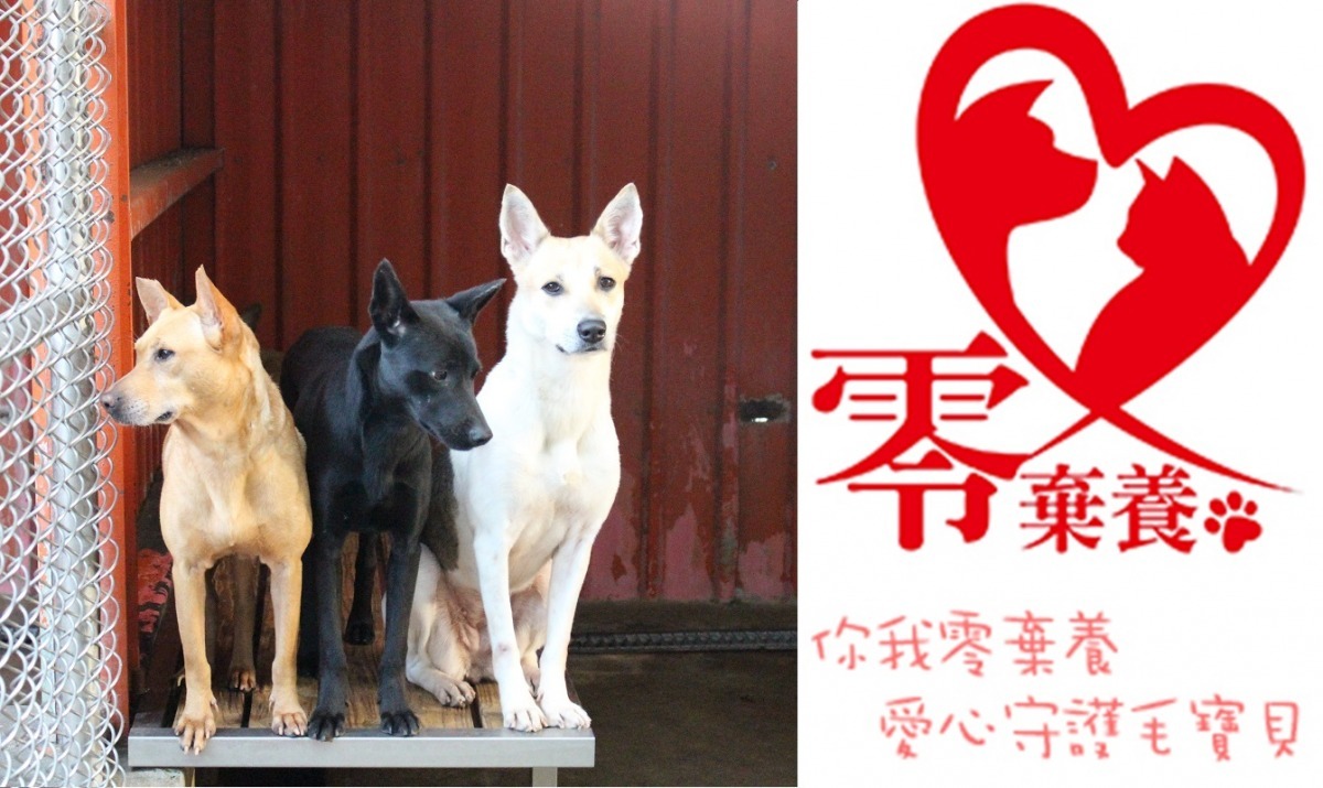 你也認同零棄養理念嗎？用行動支持吧！　李娉婷/攝，新北市動保處/提供