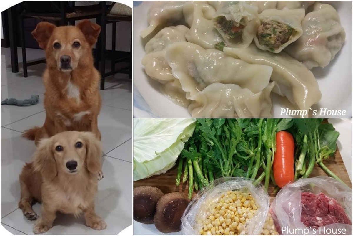 凱熙(後)和湄湄(前)都好愛吃水餃哦! Plump's House 胖胖屋手作寵物餐點/提供