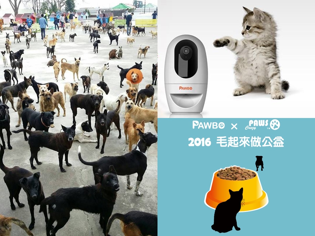 「Pawbo波波寶貝蛋」是可以和寵物遠距互動的裝置，只要手機在手，就能隨時掌握毛孩的居家狀況；瘋狂爪子Crazypaws則代理多項精美的寵物用品。　取自護生園、PAWBO、Crazypaws