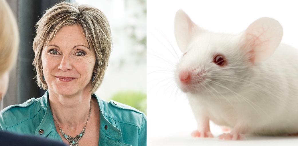 綠黨國會議員Maya Graf(左)提出禁銷售動物實驗化妝品的動議後，瑞士政府在11日公開回應，表示樂意配合實施。　取自網路、Twitter。