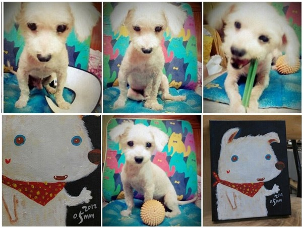 球球是阿堯筆下小白狗的原型。　0.5mm插畫/提供