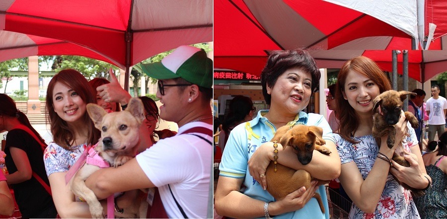 經過宅男女神加持，希望這些狗狗都能順利送養！　黃靖雅/攝