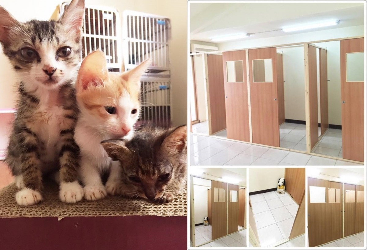 圖右為7月16日將正式落成的狗房。　藍盈琪/提供