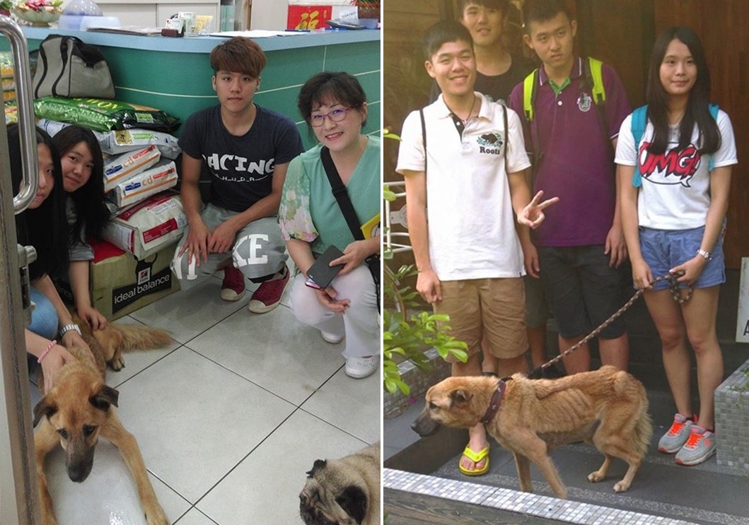 杜錫琨免費載送優漢看醫生，幫了北護校犬志工隊很大的忙。　取自友善寵物司機愛毛孩